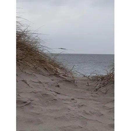 Little Seagull Modern Retreat * Хокзиль